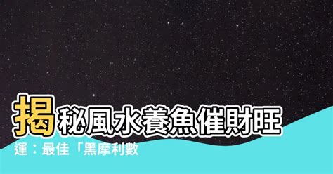 黑摩利數目|【天言知玄】黑摩利魚的冒險魔咒